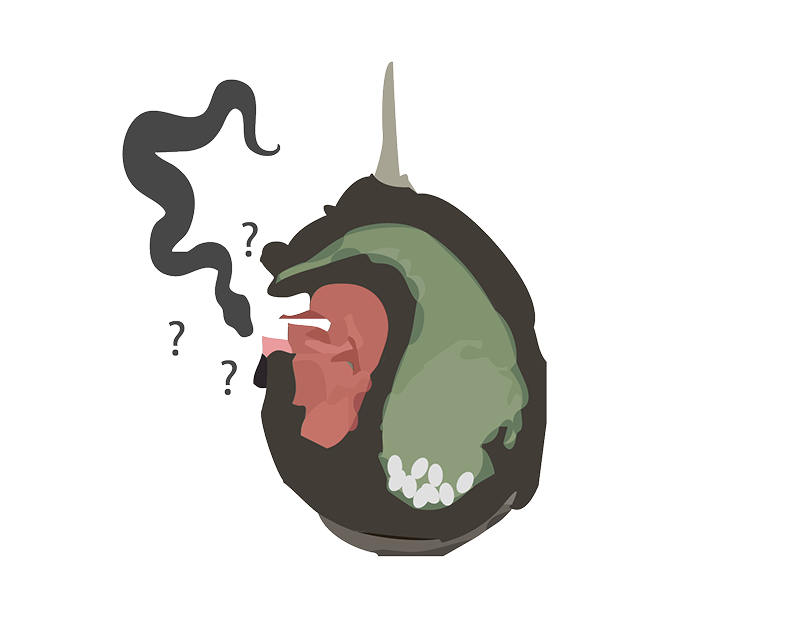 penduline tit system image